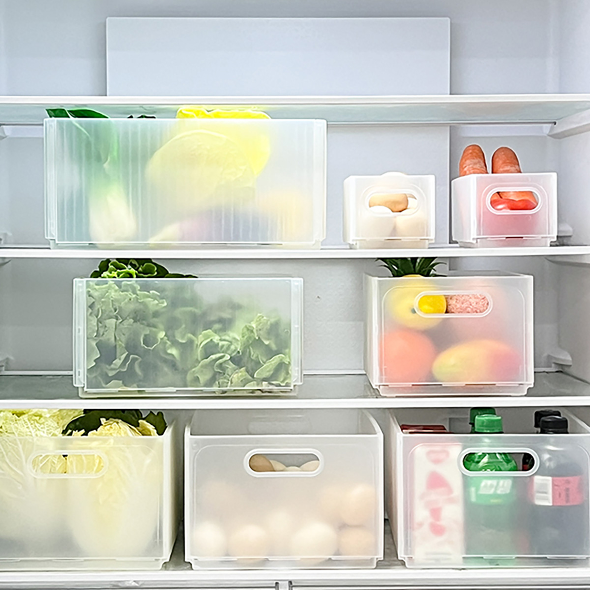 WORTHBUY Plastikowy Składany P – Food Storage With Dividers recenzja i cena
