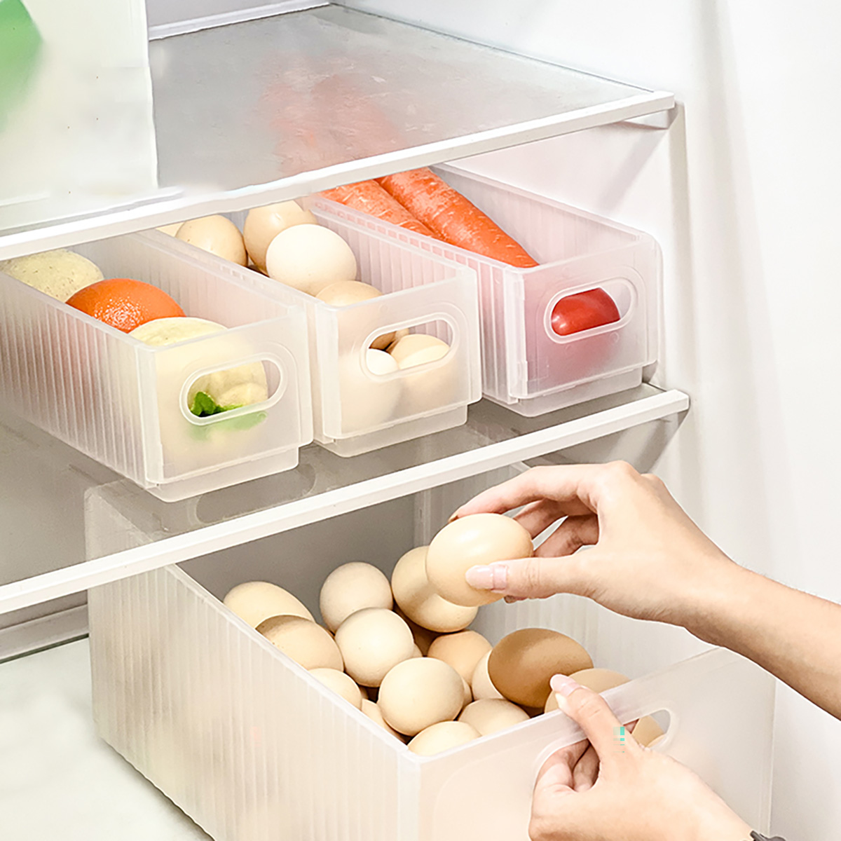 WORTHBUY Plastikowy Składany P – Food Storage With Dividers recenzja i cena